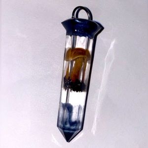 Light brown mushroom with dark blue mica powder on either end.